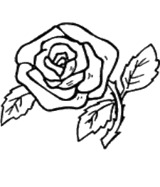 coloriage tige de rose